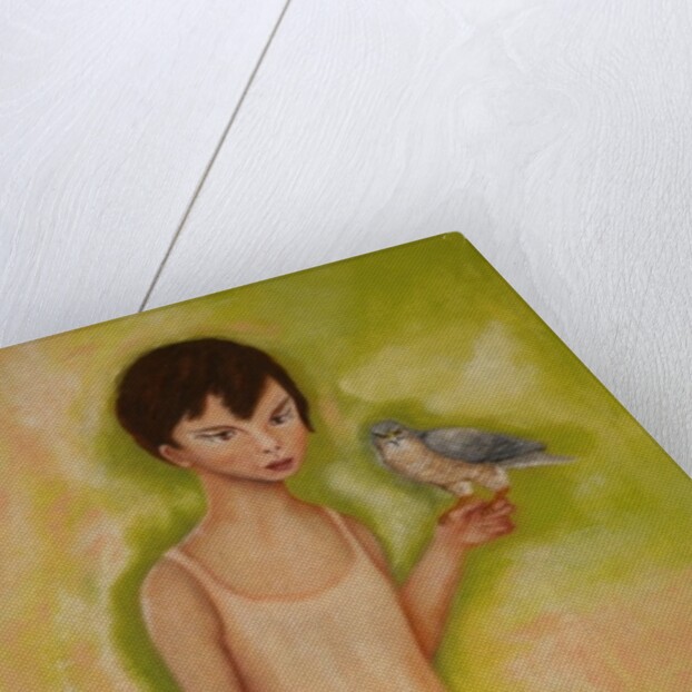 Trust-Girl with a Sparrow Hawk, 2010 by Stevie Taylor