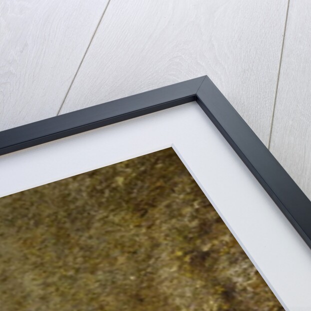 Tollerton Lake, near Nottingham by Arthur Lowe