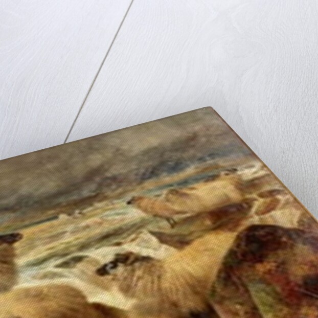 A Spate in Glen Spean, Inverness by Richard Ansdell