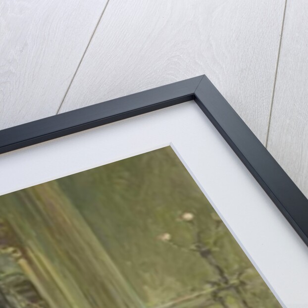 The Silver Staircase by Susan Ryder