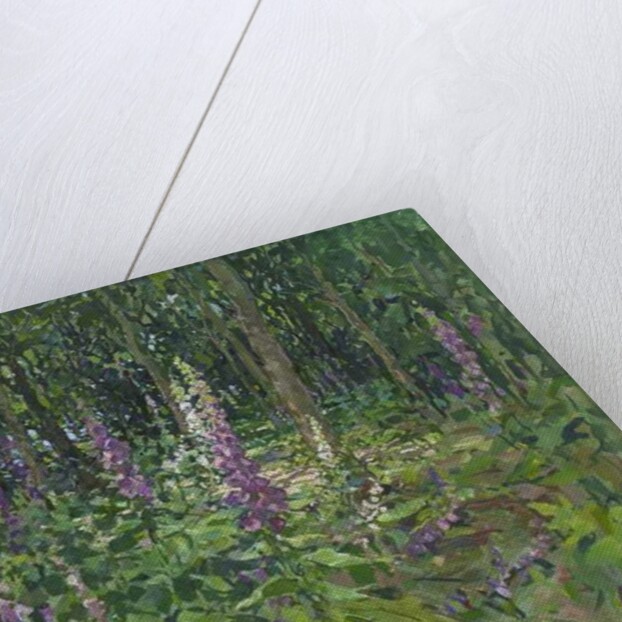 Foxgloves by Susan Ryder