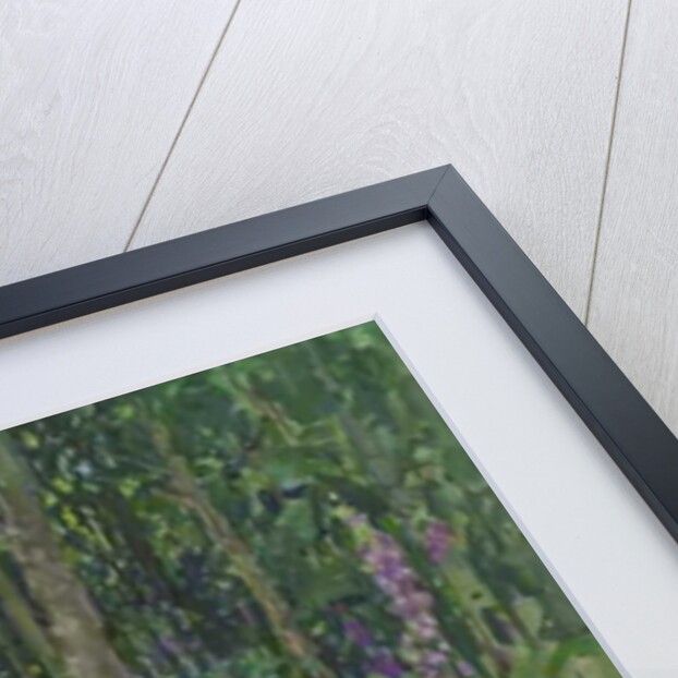 Foxgloves by Susan Ryder