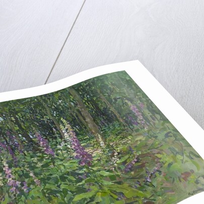 Foxgloves by Susan Ryder