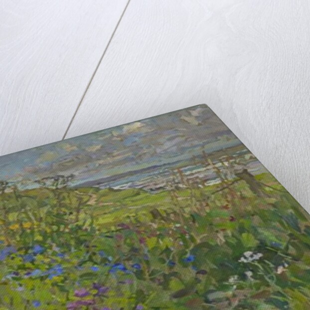 Headland Flowers near Berwick by Susan Ryder