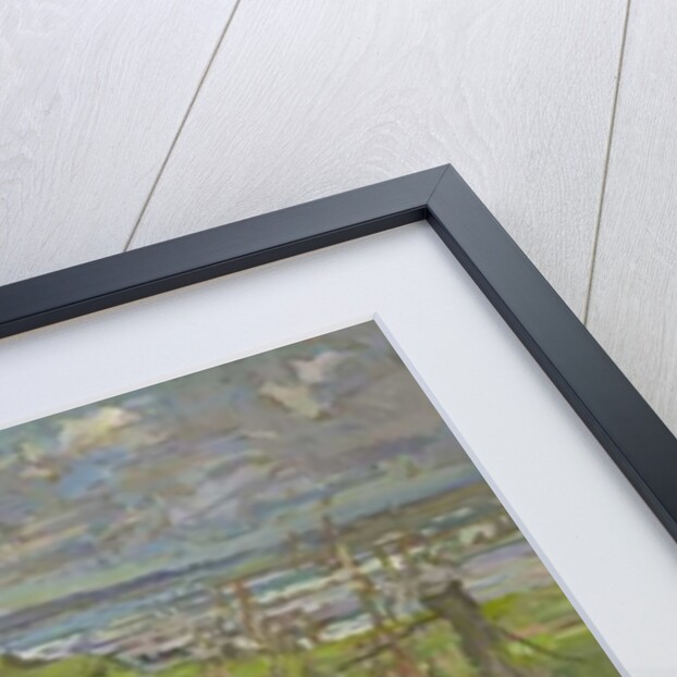 Headland Flowers near Berwick by Susan Ryder