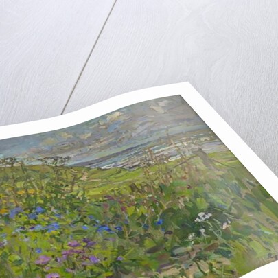 Headland Flowers near Berwick by Susan Ryder