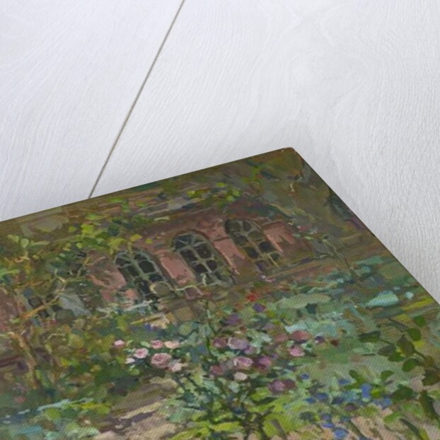 Rose in Shadow by Susan Ryder