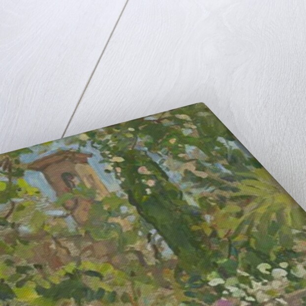 Rose Arch, Languedoc by Susan Ryder