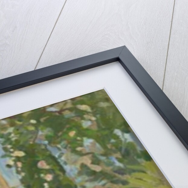 Rose Arch, Languedoc by Susan Ryder