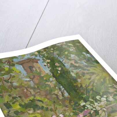 Rose Arch, Languedoc by Susan Ryder