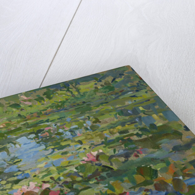 Waterlilies by Susan Ryder