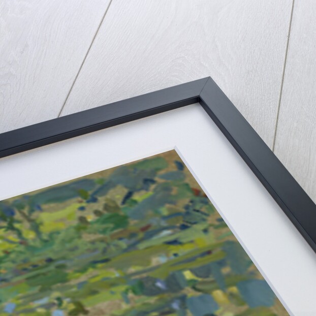 Waterlilies by Susan Ryder