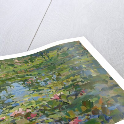 Waterlilies by Susan Ryder