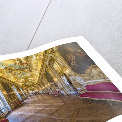 The gallery doree and the vault by Anonymous