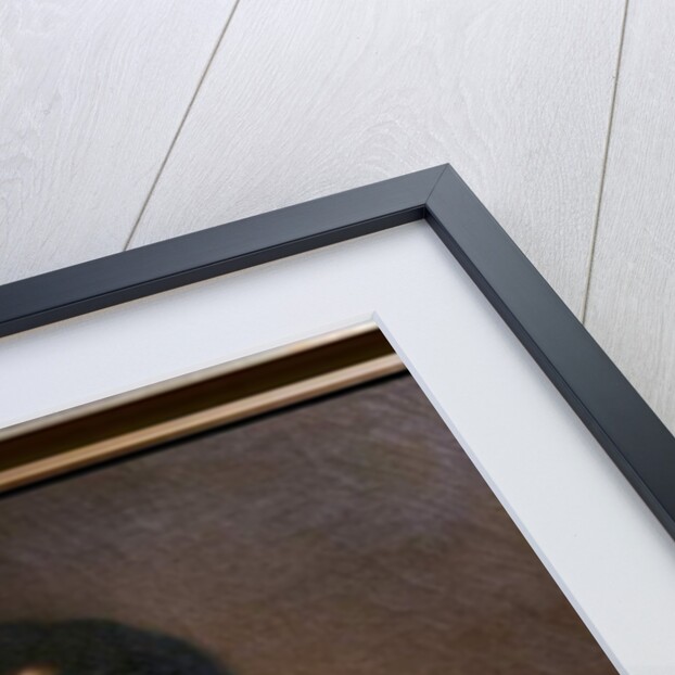 Armand Charles Guilleminot by Louise Adelaide Desnos