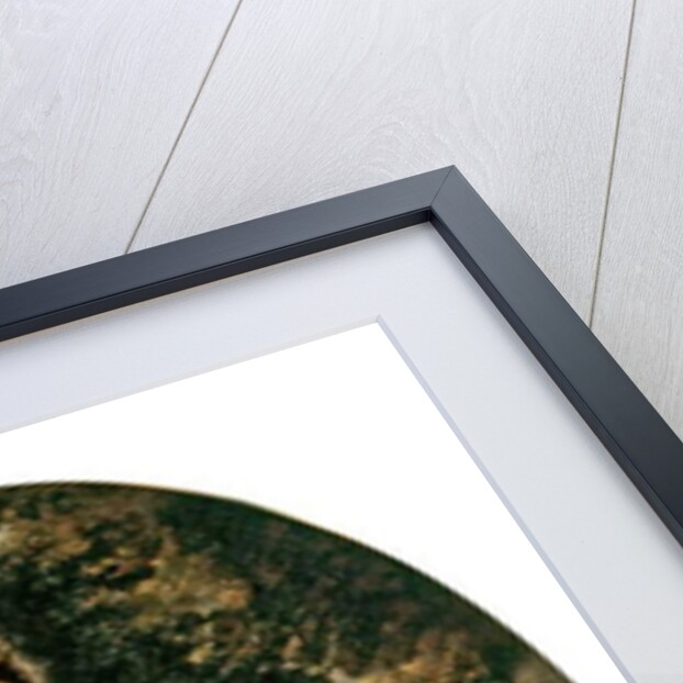 Princess Pauline von Metternich, 1860 by Franz Xaver Winterhalter