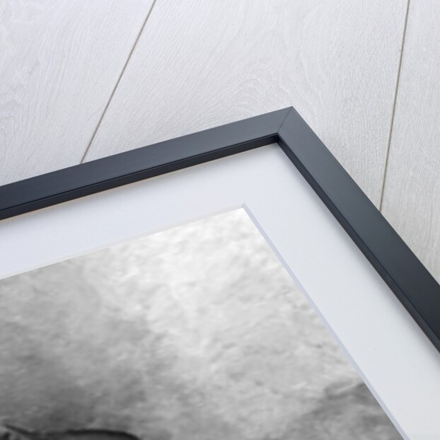 Charles Baudelaire by Gustave Courbet