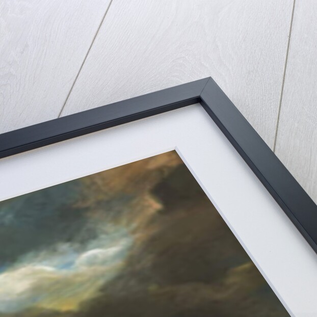 Vulture and Snake, 1798 by James Northcote