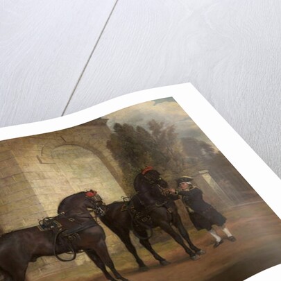 Two Black Coach Horses with a Coachman, 1791 by George Garrard