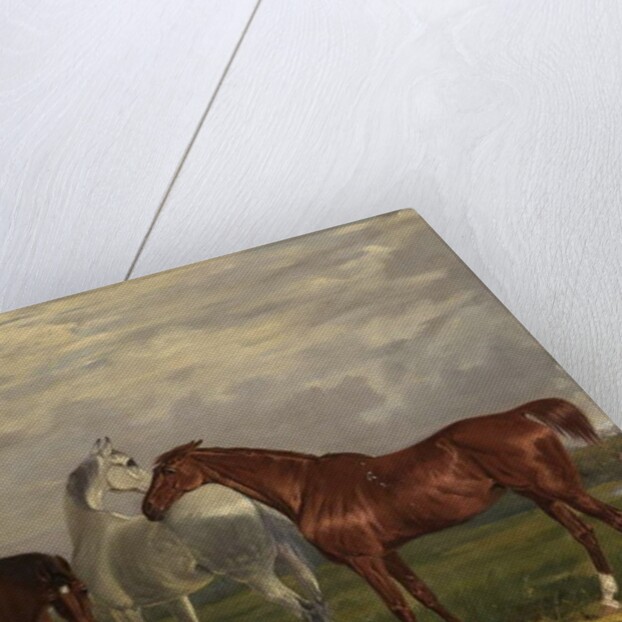 Three Horses of the 2nd Lord de Tabley and His Dog, 'Vic', 1838 by Henry Calvert