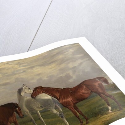 Three Horses of the 2nd Lord de Tabley and His Dog, 'Vic', 1838 by Henry Calvert