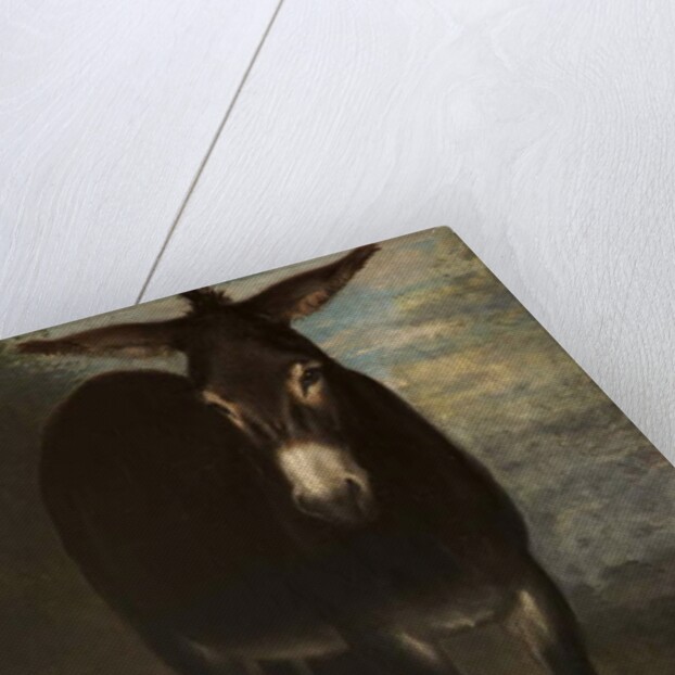 A Sicilian Ass by Benjamin Robert Haydon