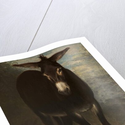 A Sicilian Ass by Benjamin Robert Haydon