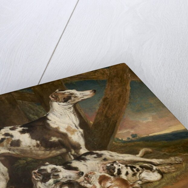 Dalmatian Dogs by James Ward