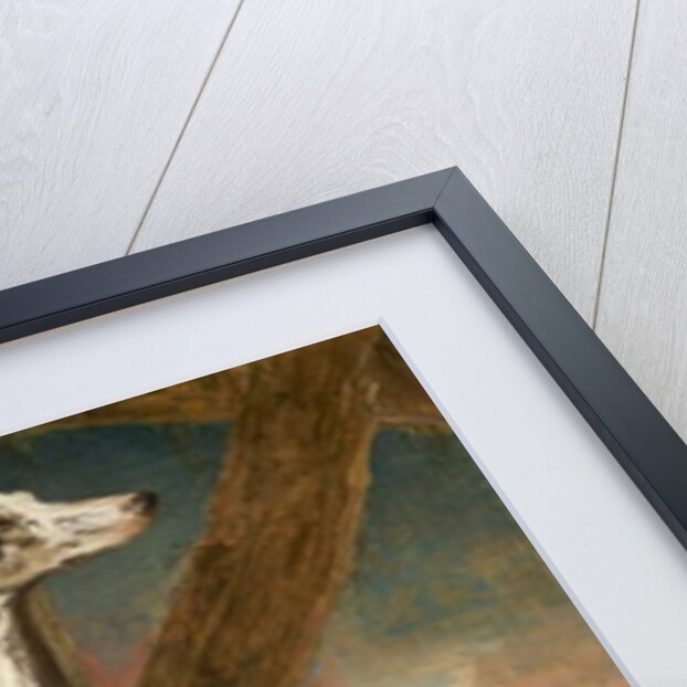 Dalmatian Dogs by James Ward