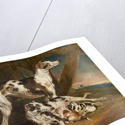 Dalmatian Dogs by James Ward