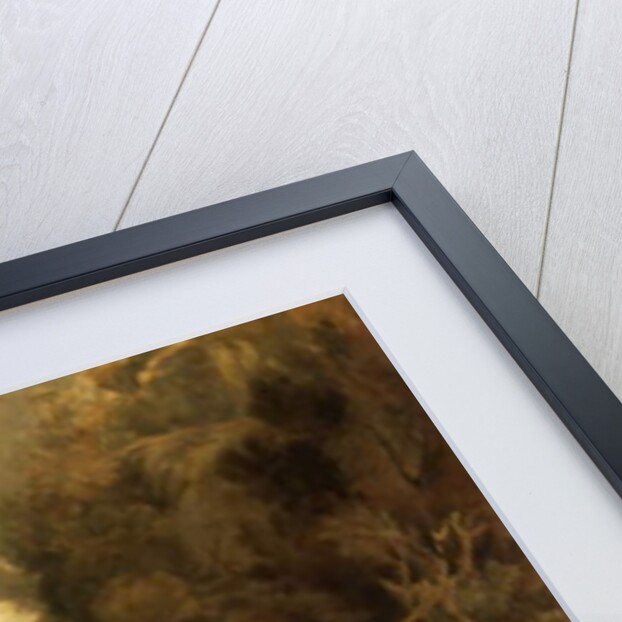 Falls of the Rhine at Schaffhausen by Joseph Mallord William (after) Turner