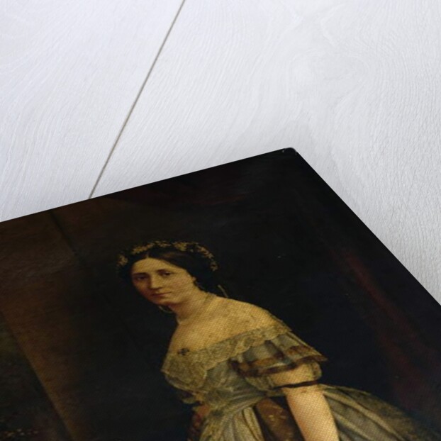 Lady de Tabley, c.1875 by English School