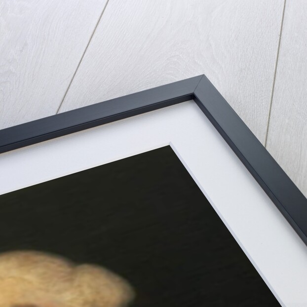 Dr Howard of Knutsford by William Owen