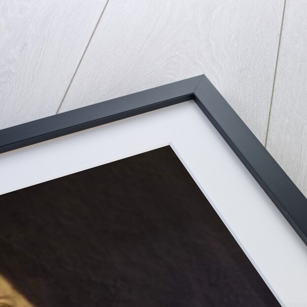 Portrait of a Lady by School German