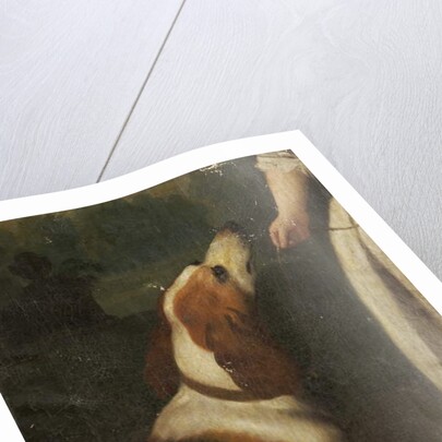 A Hound by School English