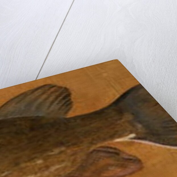 Pike by Henry Thomson