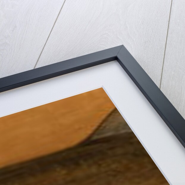 Pike by Henry Thomson