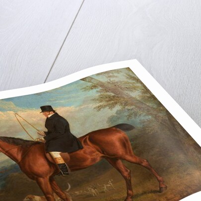 The Reverend W. Parker on a Bay Hunter with Hounds by Richard Dodd Widdas