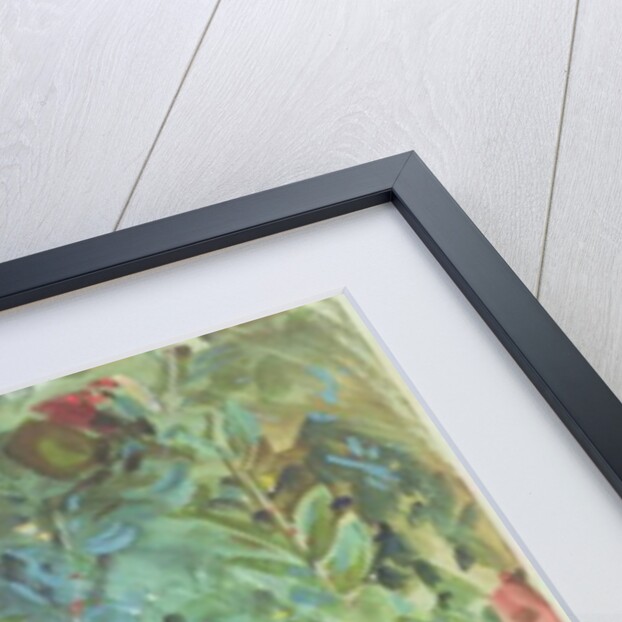 Pomegranates, 1908 by John Singer Sargent