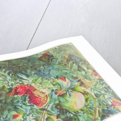 Pomegranates, 1908 by John Singer Sargent