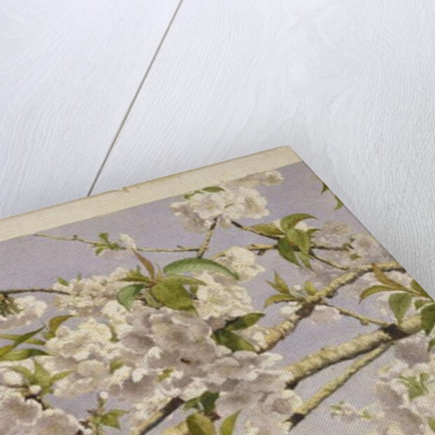 Apple Blossoms, c.1874 by John William Hill