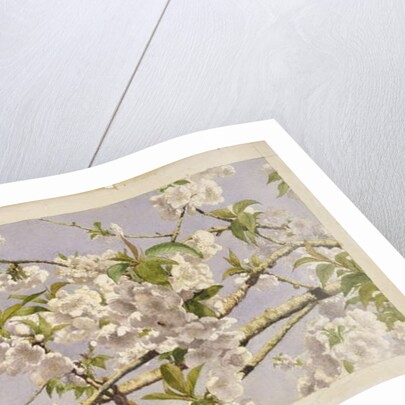 Apple Blossoms, c.1874 by John William Hill