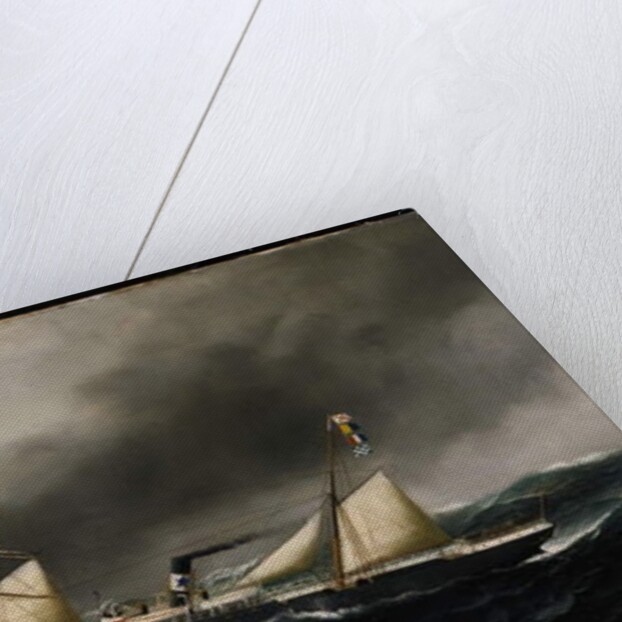 S.S. Brooklyn City, 1886 by Antonio Jacobsen