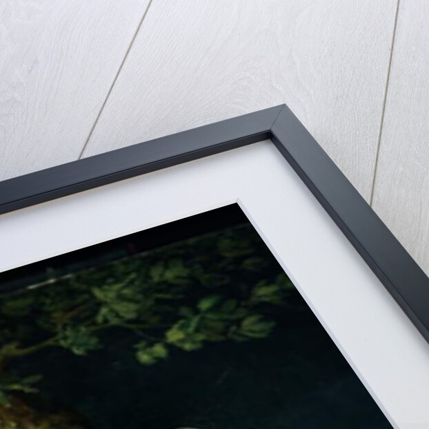 Young Woman Overtaken by a Storm, 1799 by Fereol Bonnemaison