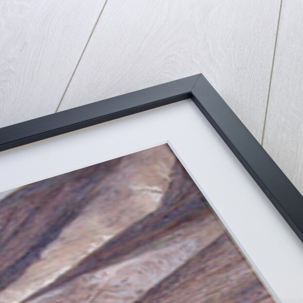 The Calling of St. Andrew and St. John by James Jacques Joseph Tissot