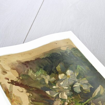 Apple Blossoms in Sunlight by John La Farge or Lafarge