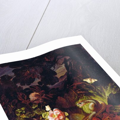 Flowers, Snake and Butterflies by Otto Marseus van Schrieck