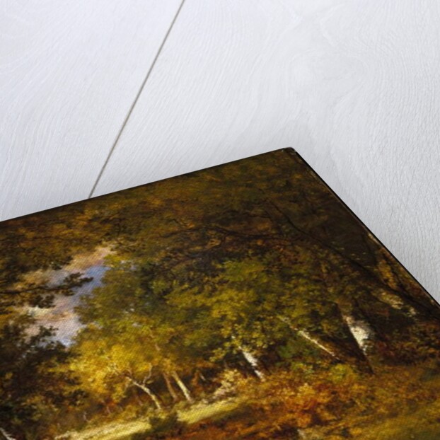 Forest Scene, c.1844-60 by Narcisse Virgile Diaz de la Pena