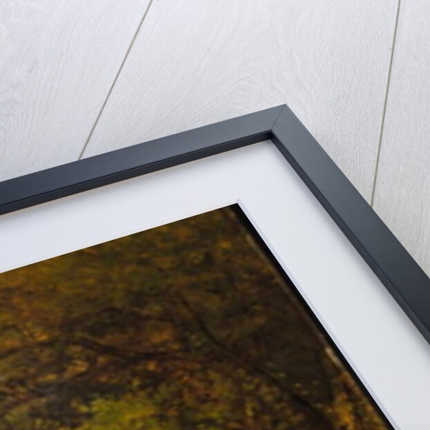 Forest Scene, c.1844-60 by Narcisse Virgile Diaz de la Pena