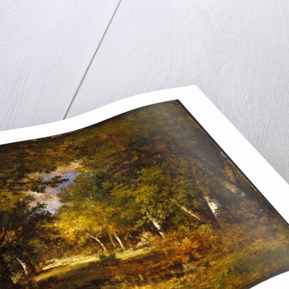 Forest Scene, c.1844-60 by Narcisse Virgile Diaz de la Pena